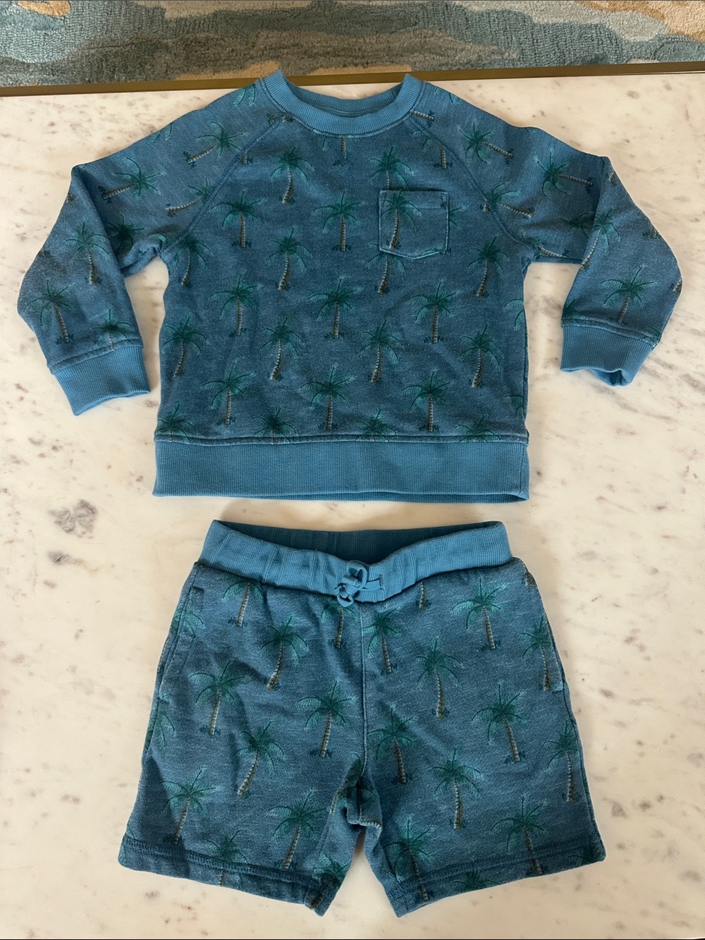 Janie and Jack Blue Palm Tree Sweatshirt & Shorts Set